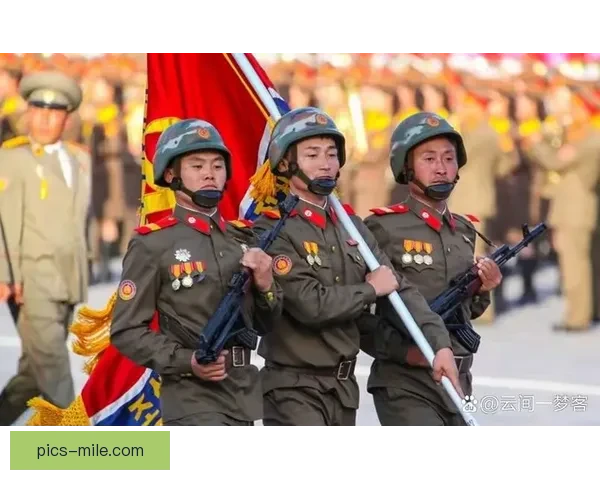 托纳利对阵韩国德甲赛场临场发挥深度评估解析战术价值与比赛影响力